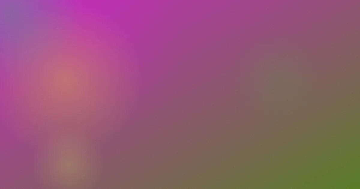 乱片子测评：新手避坑做法